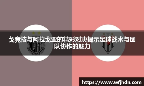 金年会